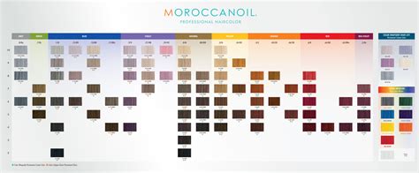 moroccanoil professional colour chart